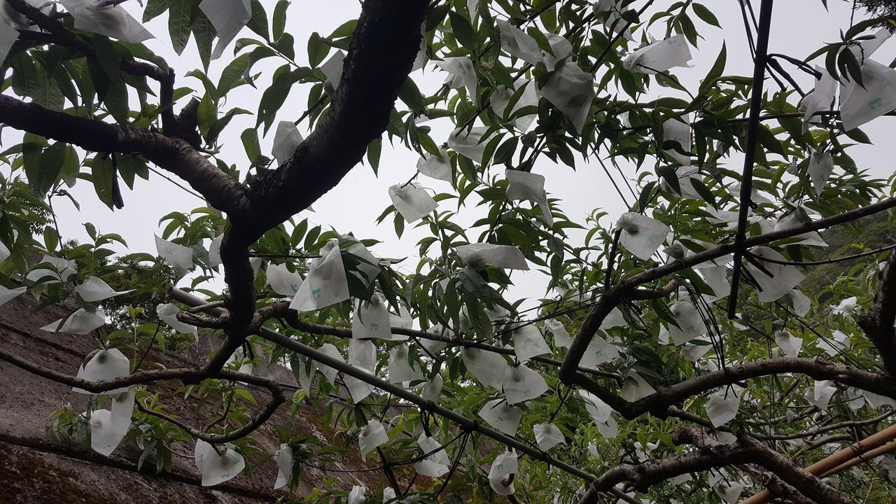 La La Shan 5.5Knong Zhuang Hualing Dış mekan fotoğraf